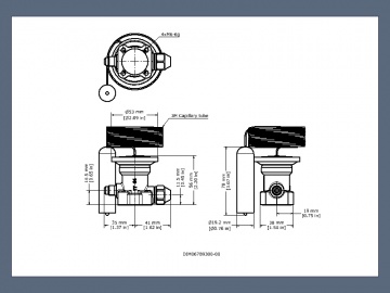 Valvă de expensiune Danfoss TE55